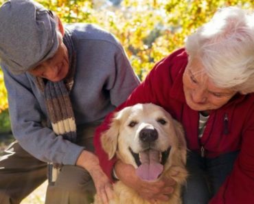 8 BENEFICIOS QUE APORTAN LAS MASCOTAS EN LA TERCERA EDAD