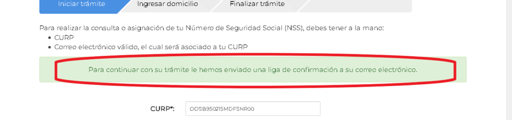 PASOS PARA OBTENER MI NÚMERO DE SEGURIDAD SOCIAL (NSS) 3número