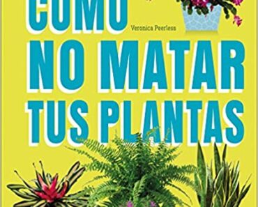 5 PLANTAS MEDICINALES QUE PUEDES CULTIVAR EN CASA