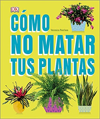 5 PLANTAS MEDICINALES QUE PUEDES CULTIVAR EN CASA 11Plantas