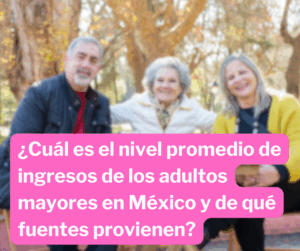 ¿Cuáles Son Los Ingresos De Los Adultos Mayores En México? 1Ingresos