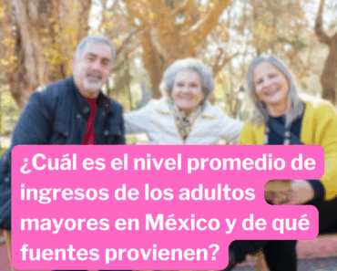 ¿Cuáles Son Los Ingresos De Los Adultos Mayores En México?